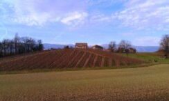 Un vignoble en pente avec des vignes dormantes en hiver, avec quelques maisons et des arbres sans feuilles au sommet d'une colline sous un ciel partiellement nuageux. Un vignoble en pente avec des vignes dormantes en hiver, avec quelques maisons et des arbres sans feuilles au sommet d'une colline sous un ciel partiellement nuageux.