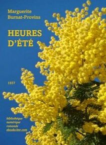 Couverture de livre aux fleurs jaune vif sur fond de ciel bleu, intitulé 