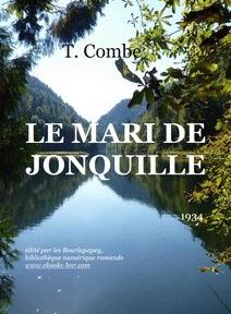 Couverture du livre intitulé 