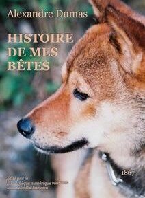 Couverture du livre intitulé 
