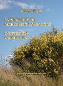 Couverture de livre intitulée 