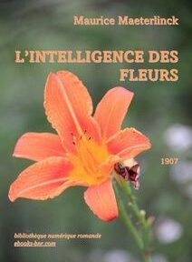 Couverture de 