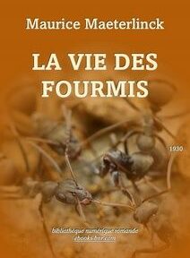 Couverture du livre intitulé 